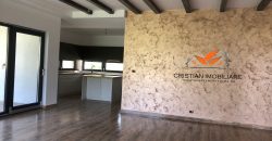 Casa individuala, Alba Iulia- Skit !