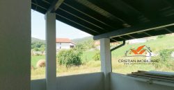 Casa individuala, Alba Iulia- Skit !