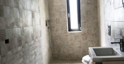 Casa individuala, Alba Iulia- Skit !