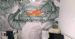 Casa noua de inchiriat Cetate, zona rezidentiala, finisata, mobilata, utilata !