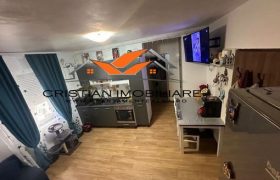 Apartament 2 camere, bloc nou, Parter, mobilat, utilat,Cetate !