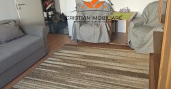 Garsoniera de inchiriat, mobilata, utilata, Parter, Cetate-Mercur!
