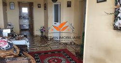 Casa de vanzare cu 2200 mp teren , Paraul lui Mihai!