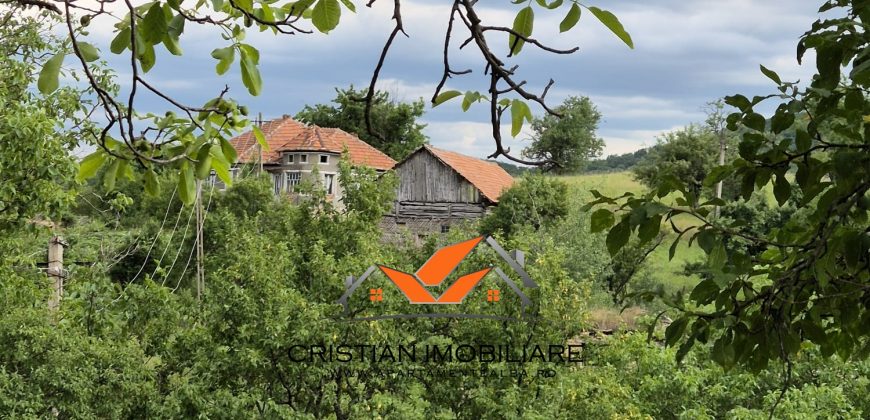 Casa situata in Vintu de jos, cu 11 hectare de pamant !