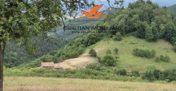 Casa situata in Vintu de jos, cu 11 hectare de pamant !