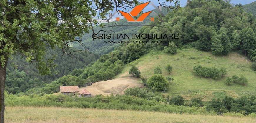 Casa situata in Vintu de jos, cu 11 hectare de pamant !