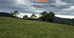 Casa situata in Vintu de jos, cu 11 hectare de pamant !