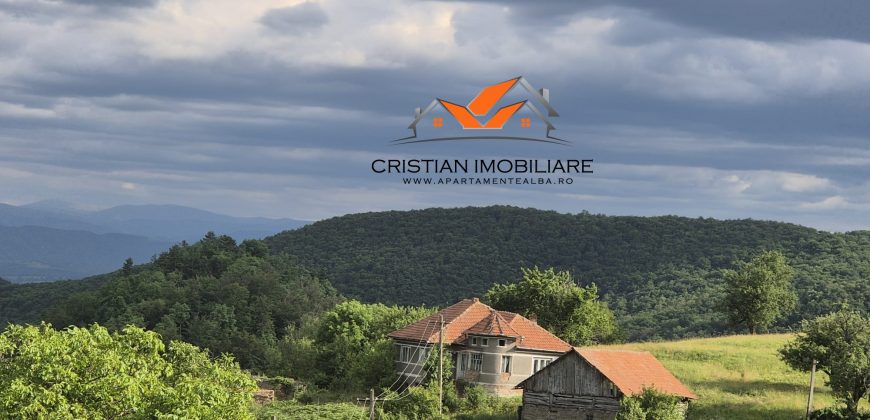 Casa situata in Vintu de jos, cu 11 hectare de pamant !