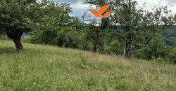 Casa situata in Vintu de jos, cu 11 hectare de pamant !