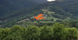 Casa situata in Vintu de jos, cu 11 hectare de pamant !