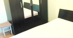 Apartament 2 camere decomandat, mobilat-utilat, Cetate-Mercur, etajul 1!