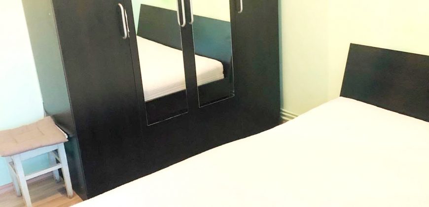 Apartament 2 camere decomandat, mobilat-utilat, Cetate-Mercur, etajul 1!
